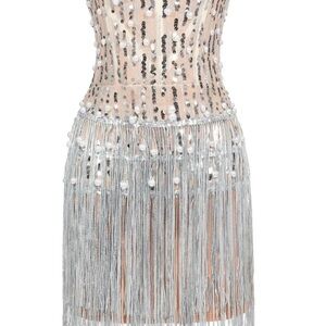 Elegant Silver Sequin Fringe Dress